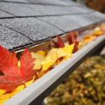 Pittsburgh Handyman – Fall Gutter Cleaning